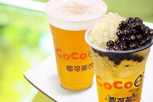 南京市玄武区coco奶茶加盟区域代理