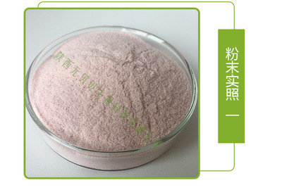 香芋奶茶粉 壹贝子厂家直供口感浓郁营养丰富 免费拿样速溶香芋奶茶